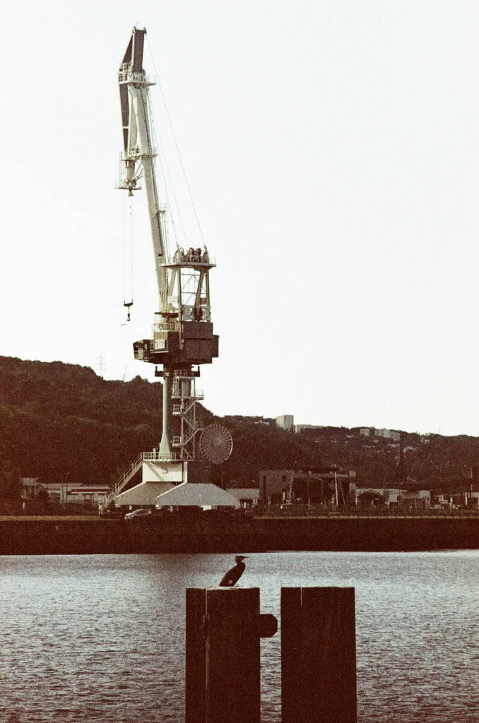 cormoran lomochrome metropolis